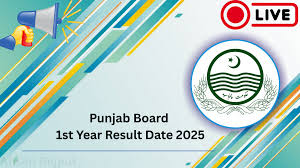 Result of the First Year 2024 Punjab Board Updates